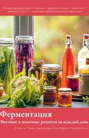 Читать книгу онлайн «Ферментация. Вкусные и полезные рецепты на каждый день – Рейчел де Тампл»
