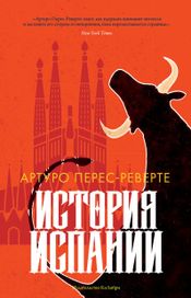 Читать книгу онлайн «История Испании – Артуро Перес-Реверте»