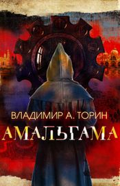 Читать книгу онлайн «Амальгама – Владимир Торин»
