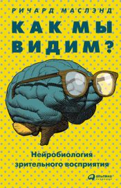 Читать книгу онлайн «Как мы видим? Нейробиология зрительного восприятия – Ричард Маслэнд»
