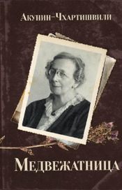 Читать книгу онлайн «Медвежатница – Борис Акунин»