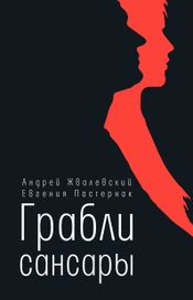 Читать книгу онлайн «Грабли сансары – Андрей Жвалевский, Евгения Пастернак»