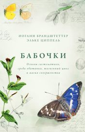 Читать книгу онлайн «Бабочки. Основы систематики, среда обитания, жизненный цикл и магия совершенства – Иоганн Брандштеттер, Эльке Циппель»