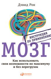Читать книгу онлайн «МОЗГ. Инструкция по применению. Как использовать свои возможности по максимуму и без перегрузок – Дэвид Рок»