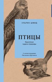 Читать книгу онлайн «Птицы. Крылатые чудеса природы – Ульрих Шмид»