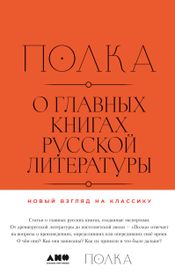Читать книгу онлайн «Полка. О главных книгах русской литературы. Сборник статей – Коллектив Авторов»