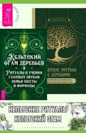 Читать книгу онлайн «Кельтский огам деревьев. Кельтские ритуалы с деревьями – Шарлин Идальго»