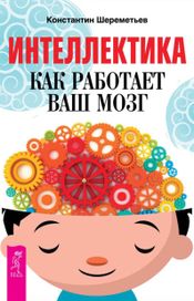 Читать книгу онлайн «Интеллектика. Как работает ваш мозг – Константин Шереметьев»