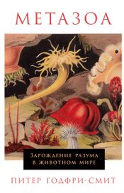 Читать книгу онлайн «Метазоа. Зарождение разума в животном мире – Питер Годфри-Смит»