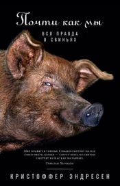 Читать книгу онлайн «Почти как мы. Вся правда о свиньях – Кристоффер Эндресен»