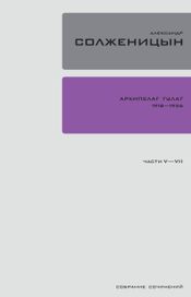 Читать книгу онлайн «Архипелаг ГУЛАГ. Части V-VII – Александр Солженицын»
