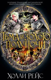 Читать книгу онлайн «Тьма и золото полуночи – Холли Рейс»