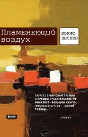 Читать книгу онлайн «Пламенеющий воздух – Борис Евсеев»