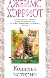 Читать книгу онлайн «Кошачьи истории – Джеймс Хэрриот»