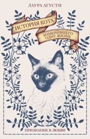Читать книгу онлайн «История кота, изменившего одну жизнь. Признание в любви – Лаура Агусти»