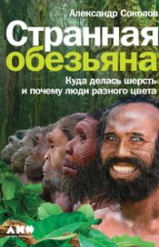 Читать книгу онлайн «Странная обезьяна. Куда делась шерсть и почему люди разного цвета – Александр Соколов»