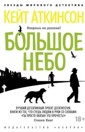 Читать книгу онлайн «Большое небо – Кейт Аткинсон»