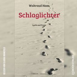 Das Buch “Schlaglichter - Lyrik und Prosa (Ungekürzt) – Waltraud Haas” online hören