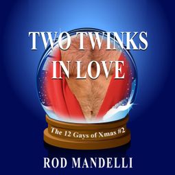 Das Buch “Two Twinks In Love - 12 Gays of Xmas, book 2 (Unabridged) – Rod Mandelli” online hören