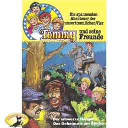 Das Buch “Tommy und seine Freunde, Folge 2: Der schwarze Hengst / Das Geheimnis um Bimbo – Gören Stendal” online hören