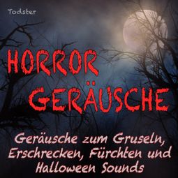Das Buch “Horror Geräusche - Geräusche zum Gruseln, Erschrecken, Fürchten und Halloween Sounds – Todster” online hören