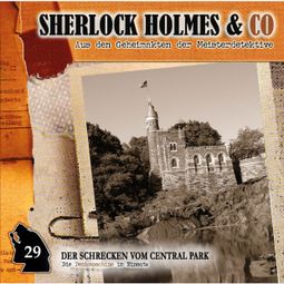 Das Buch “Sherlock Holmes & Co, Folge 29: Der Schrecken vom Central Park – Patrick Holtheuer” online hören