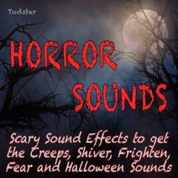 Das Buch “Horror Sounds - Scary Sound Effects to Get the Creeps, Shiver, Frighten, Fear and Halloween Sounds – Todster” online hören