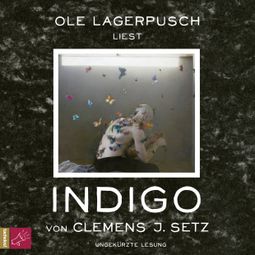 Das Buch “Indigo (Ungekürzt) – Clemens J. Setz” online hören