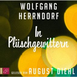 Das Buch «In Plüschgewittern – Wolfgang Herrndorf» online hören