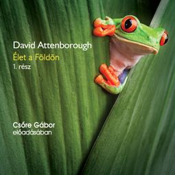 Das Buch “Élet a Földön - 1. rész (teljes) – David Attenborough” online hören