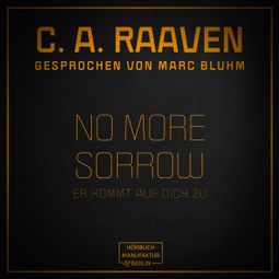Das Buch “No more sorrow - Er kommt auf dich zu (ungekürzt) – C. A. Raaven” online hören