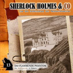 Das Buch “Sherlock Holmes & Co, Folge 13: Das flammende Phantom – Arthur Conan Doyle” online hören