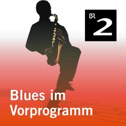 Das Buch “Blues im Vorprogramm (Lesung mit Musik) – Laura Feuerland” online hören