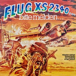 Das Buch “Flug XS 2340 - bitte melden – Claus Peter Lemmer” online hören