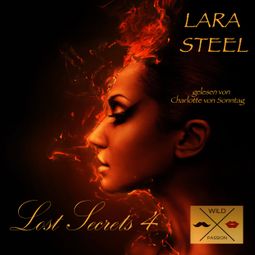 Das Buch «Lost Secrets, 4 (ungekürzt) – Lara Steel» online hören