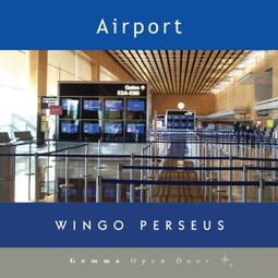 Das Buch “Airport (Unabridged) – Wingo Perseus” online hören
