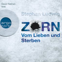 Das Buch “Vom Lieben und Sterben - Zorn, Band 2 (Autorisierte Lesefassung) – Stephan Ludwig” online hören