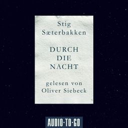Das Buch “Durch die Nacht (Ungekürzt) – Stig Saeterbakken” online hören