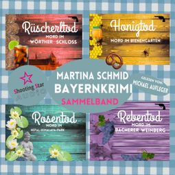 Das Buch “Hinterdobler-Reihe, Sammelband: Teil 1-4 (ungekürzt) – Martina Schmid” online hören