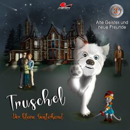 Das Buch “Truschel der kleine Geisterhund, Folge 3: Alte Geister und neue Freunde – Thomas Rock, Engelbert von Nordhausen” online hören