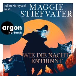 Das Buch “Wie die Nacht entrinnt - Dreamer-Trilogie, Band 3 (Ungekürzte Lesung) – Maggie Stiefvater” online hören