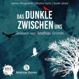 Das Buch “Das Dunkle zwischen uns - 17 düstere Kurzgeschichten (ungekürzt) – Jasmin Mrugowski, Nadine Opitz, Sarah Jahed” online hören