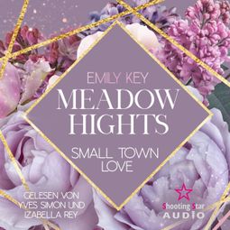 Das Buch “Meadow Hights: Small Town Love - New York Gentlemen, Band 6 (ungekürzt) – Emily Key” online hören