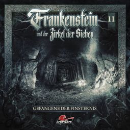 Das Buch “Frankenstein und der Zirkel der Sieben, Folge 11: Gefangene der Finsternis – Silke Walter” online hören