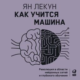 Слушать аудиокнигу онлайн «Как учится машина. Революция в области нейронных сетей и глубокого обучения – Ян Лекун»