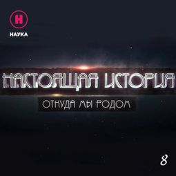 Слушать аудиокнигу онлайн «Увидеть невидимое. Древние артефакты – Канал «Наука»»