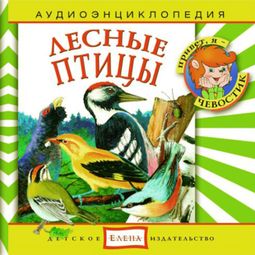 Слушать аудиокнигу онлайн «Лесные птицы – Наталья Манушкина, Елена Качур»