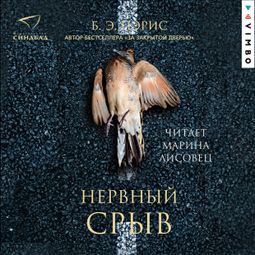 Слушать аудиокнигу онлайн «Нервный срыв – Бернадетт Энн Пэрис»