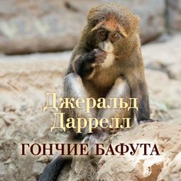Слушать аудиокнигу онлайн «Гончие Бафута – Джеральд Даррелл»
