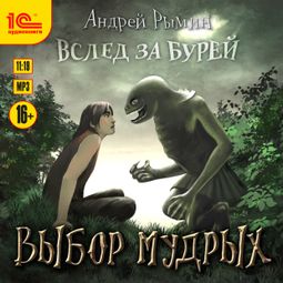Слушать аудиокнигу онлайн «Выбор мудрых»